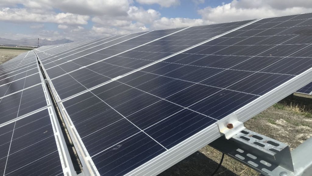 Bir güneş paneli ile 50 ağaç kurtulabilir